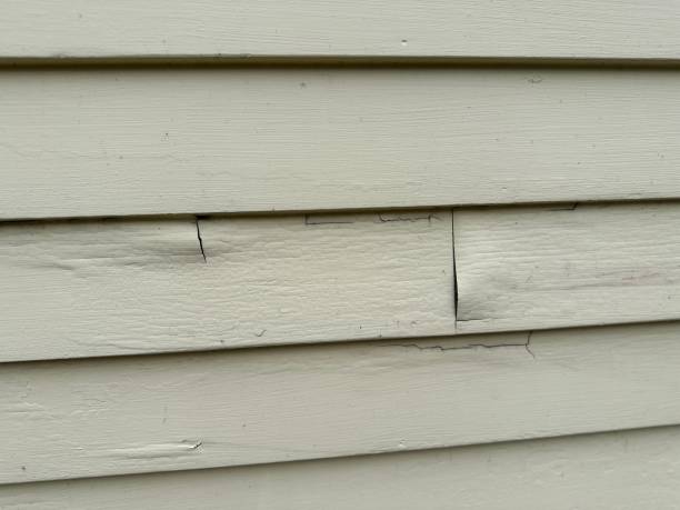 Best Engineered Wood Siding  in Lewisburg, PA